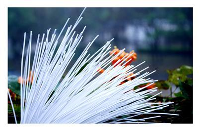 3868la银河总站(china)股份有限公司 - Make It Possible